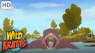 Wild Kratts | Race for the Hippo Disc | Full Episode | Season 2