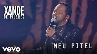 Xande de Pilares - Meu Pitel (Ao Vivo No Rio De Janeiro / 2020)