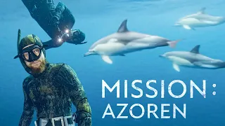 Robert und Fritz unterwegs mit Delfinen - Mission Azoren