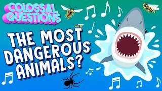 ⚠️CAUTION: Which Animal is The Most Dangerous? 🎵 | COLOSSAL SONGS