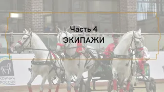 Русская экипажная езда и русская тройка, выпуск 4