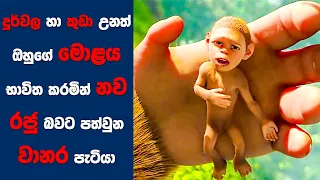 "Animal Kingdom" සිංහල Movie Review | Ending Explained Sinhala | Sinhala Movie Review