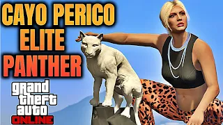 GTA Cayo Perico Heist : Einfach Geld in GTA - GTA 5 Online Deutsch