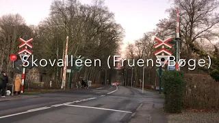 Jernbaneoverskæring ved Fruens Bøge (ft. Bubbiax - Danish Train Videos)