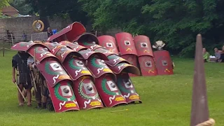 Schaukampf Römer gegen Daker, Römertage 2018 Carnumtum