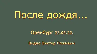 После дождя...  Оренбург 23. 05. 22.  Видео Виктор Поживин