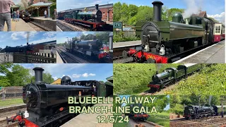 Branch-Line Gala ‘24 l Bluebell Railway l 12/5/24