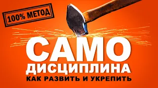 Самодисциплина. Как развить и укрепить? Аудиокнига целиком