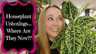 Houseplant Unboxings....Where Are They Now??