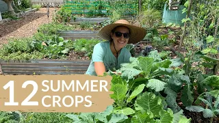 Top Veggie Picks For Your Florida Summer Garden