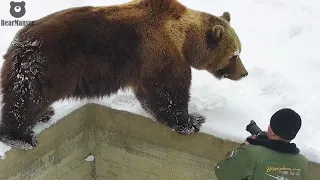 Пышная звезда и репортер🐻🤩📸