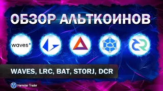 ОБЗОР АЛЬТКОИНОВ: WAVES, LRC, BAT, STORJ, DCR. Что можно купить в портфель?