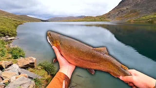 Fly Fishing For HUGE Cutthroat Trout In Remote Colorado Alpine Lakes