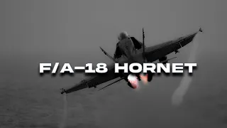 F/A-18 Hornet  ||  PHONK EDIT (DCS)