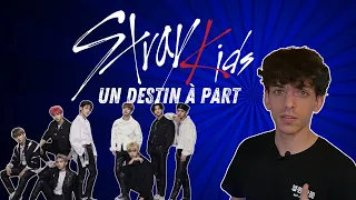 STRAY KIDS 스트레이 키즈 : Un destin à part [KPOP]