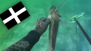 Spearfishing Cornwall 2019