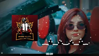 DJ They Dont Care About Us X AIDA || Mantap Nih Boss Reggae Remix