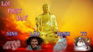 Sinh lão bệnh tử - Lời Phật dạy