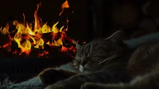 Cat Purring Sound 🐈 Deep Relaxation, Sleep and Stress Relief 🔥Crackling Fireplace Sounds