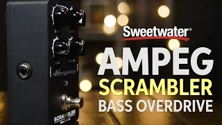 Ampeg Scrambler Bass Overdrive Pedal Demo