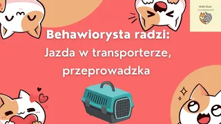 Jak oswoic transporter, czyli o podróżowaniu i przeprowadzce z kotem.