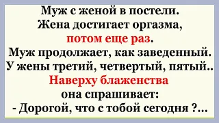 Сегодня муж был как заведённый...  Подборка смешных Анекдотов.