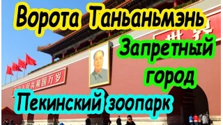 Тяньаньмэнь, Запретный город, Пекинский зоопарк. ПЕКИН, КИТАЙ | Tiananmen. China, Beijing | 天安門中國北京