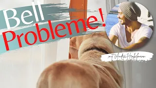 Wenn dein Hund alleine zu Hause ist und bellt! Hundeerziehung/Profi-Tipps!