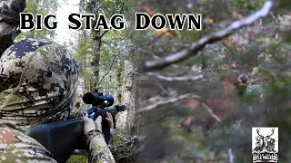 Hunting PEAK RUT | Getting in Close to Roaring Red Stags on a 5-Day New Zealand Valley Hunt