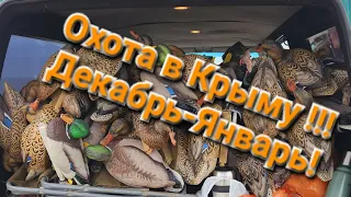 Охота на утку! Крым! Декабрь-Январь.