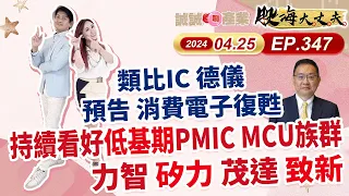 第347集｜類比IC 德儀 預告 消費電子復甦 持續看好低基期PMIC MCU族群 力智 矽力 茂達 致新｜20240425｜陳建誠 分析師｜股海大丈夫｜中視