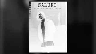 Child – Hahaha [SALUKI REMIX] #saluki #salukiremix