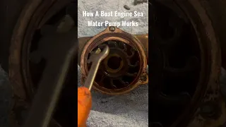 How A Boat Engines Sea Water Pump Works. Face Plate Removed Showing Impeller & Cam Plus Direction