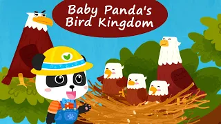 Baby Panda's Bird Kingdom - Take Care of Baby Birds and Protect the Environment! | BabyBus Games