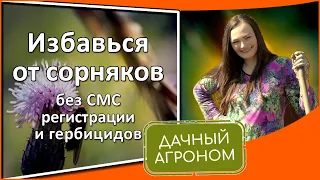 Как избавиться от сорняков НАСОВСЕМ на огороде Дачный агроном рекомендует средство от сорняков