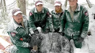 Randy Cross, Bear Biologist, discusses dedication and why IFW is opposed to the bear referendum