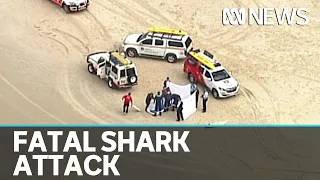 Surfer killed by Great White Shark, northern NSW | ABC News