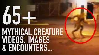 65+ Mythical Creature Encounters, Videos & Photographs | HUGE Mythological Creatures Compilation