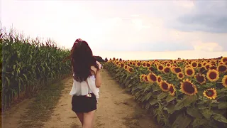 walking through a sunflower field | film