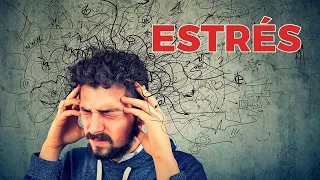 Te enfermas por estrés? Evitalo así