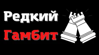 Редкий гамбит против Испанской партии | Уроки шахмат | Гамбит Яниша