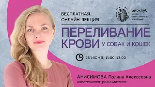 Переливание крови у собак и кошек