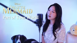 DISNEY | THE LITTLE MERMAID OST - Part of Your World (Cover by 박서은 Grace Park, feat. WALTZ)