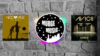 Nico & Vinz x Avicii - Am I Wrong x Levels (MURGE MASHUP)