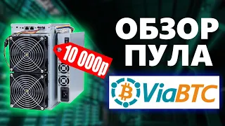 Купил первый АСИК | ОБЗОР ПУЛА ViaBTC