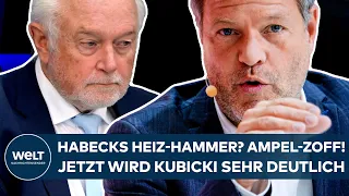 HABECKS HEIZ-HAMMER: Zoff in der Koalition! Jetzt wird FDP-Vize Kubicki sehr deutlich