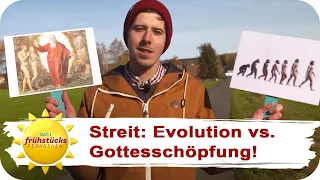 Gemeinde im Westerwald will keinen Evolutionsweg! | SAT.1 Frühstücksfernsehen