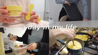 living alone vlog | day in my life, daily skincare routine with Inssakit, cooking at home, studyvlog