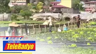 Ekonomista: Isyu sa agrikultura dapat tugunan ng pamahalaan | Headline Pilipinas (22 Feb 2023)