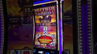 Buffalo Anscension Slot Machine | 1 bet | 8 free games